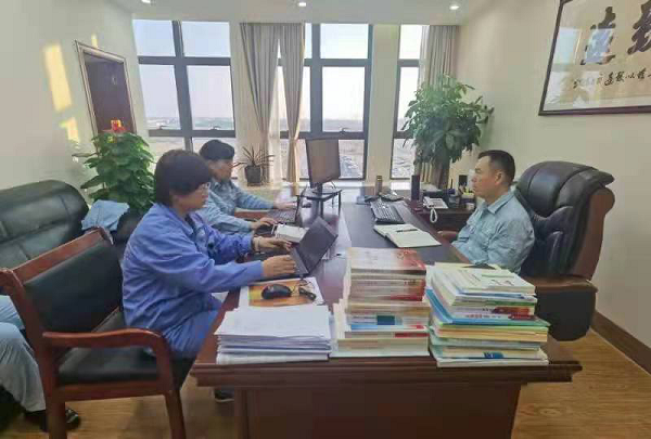 中科炼化领导访谈